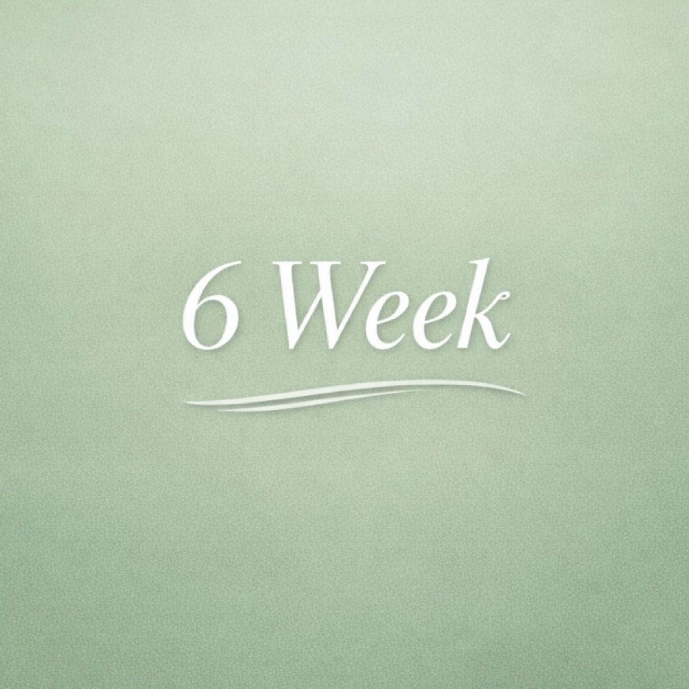 6 Week •Sculpt •Slim Body Package at Adrenity Renew Studio in Dallas Tx, TX