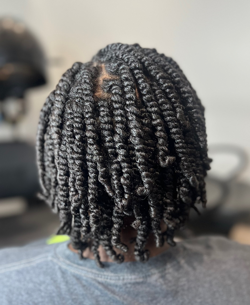 2 Strand Twist