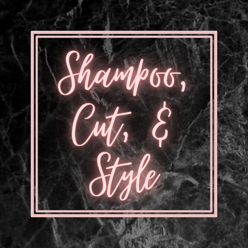 Shampoo/Haircut/Style