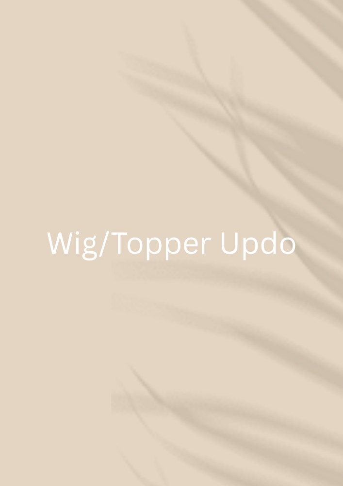 Wig/Topper Updo