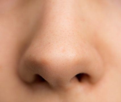 Nose