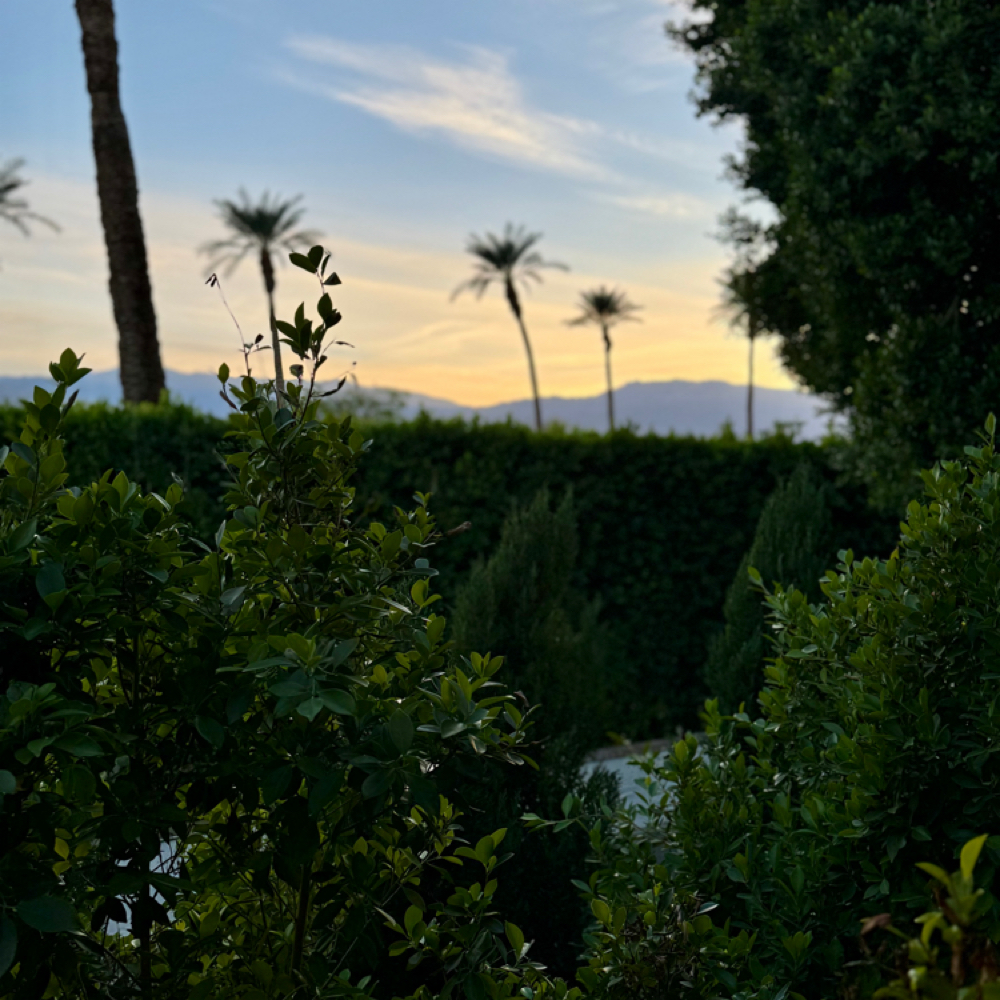 Redo at Indigo Salon @ Beaumont in Lexington, KY