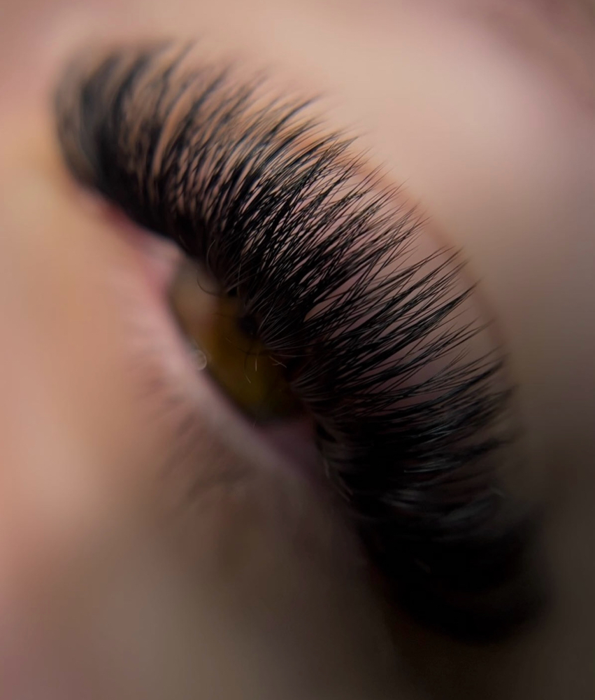 Lash Extension (Any Style) at V.E.R. Lash in San Tan Valley, AZ