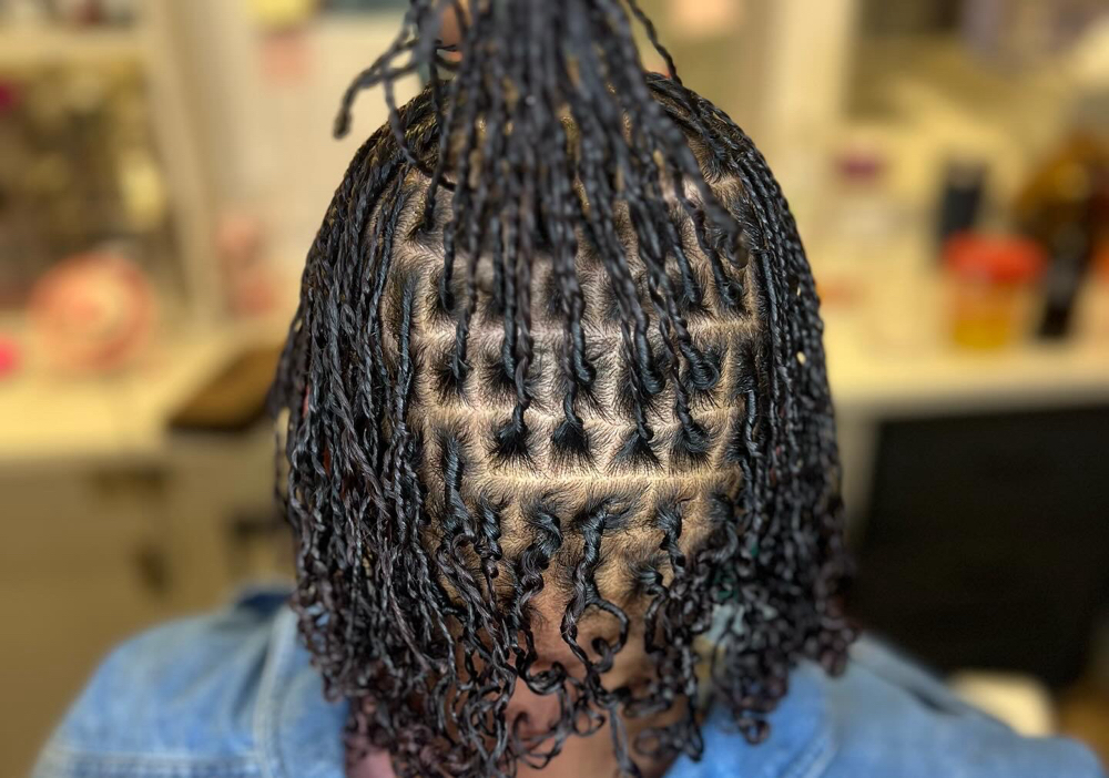 Starter Locs