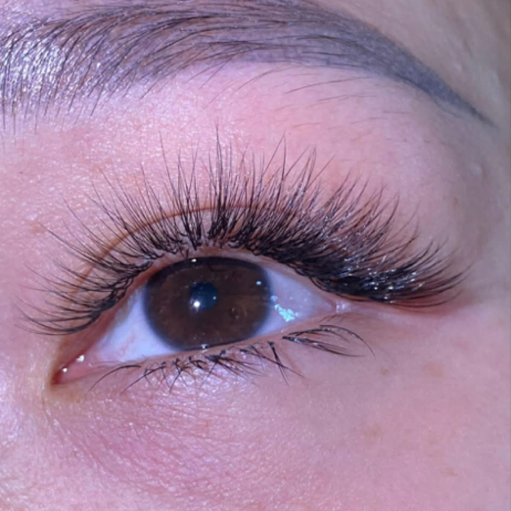 HYBIRD LASH at Sophie Brows And Lashes in Silver Spring, MD