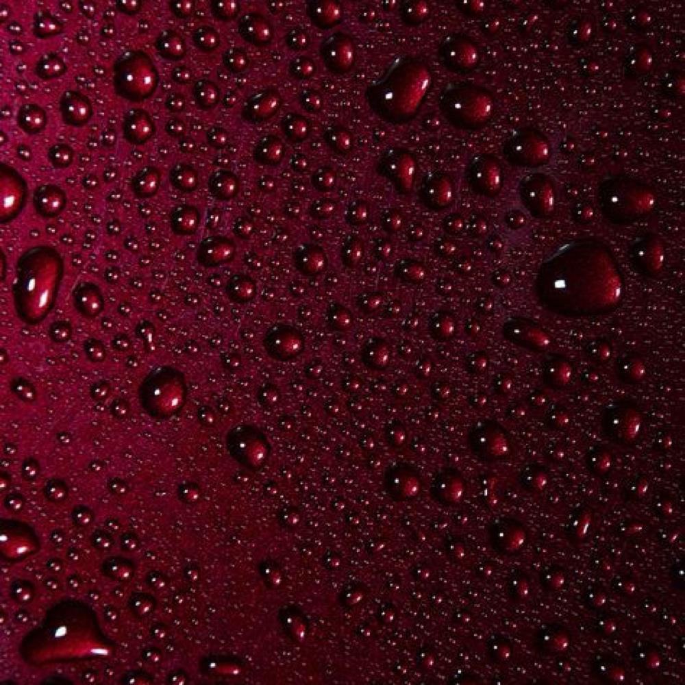 Deluxe Root Touch Up + Blonding at Marissa Hodge in Pensacola, FL