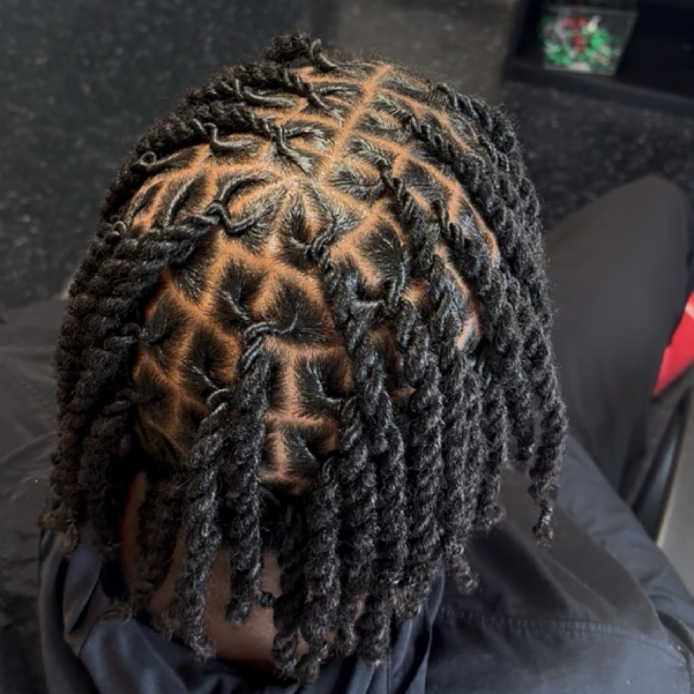 Starter Locs at Hair with Jade in plano, TX