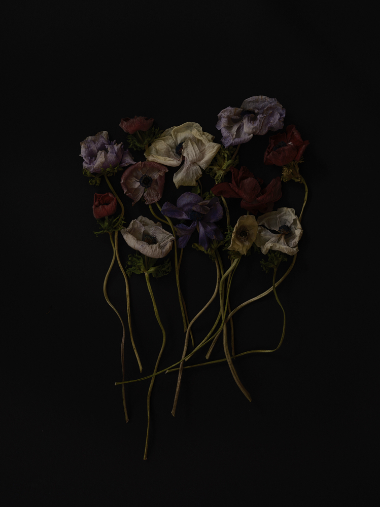 All over Color/Gloss or Tone