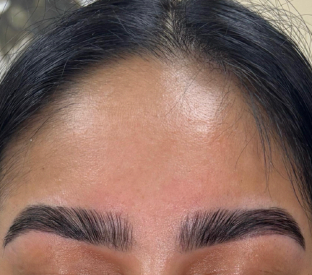 Brow Trio at Gardenias Beauty Salon in North Charleston, SC