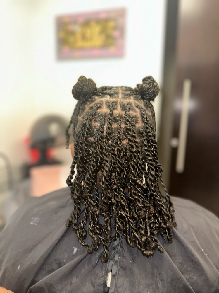 Mini Twist