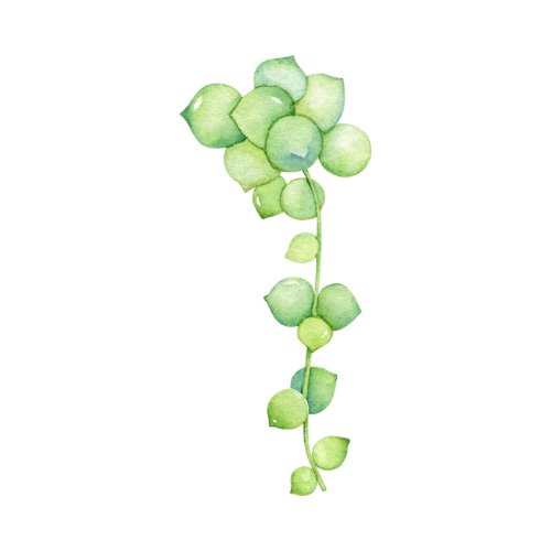 Chin Wax at Saddle Up Waxing in Burley, ID