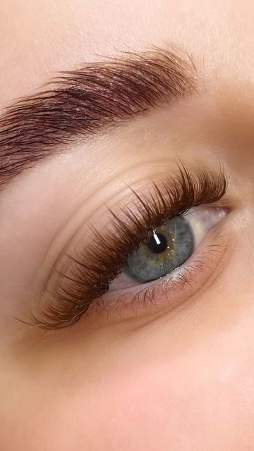 Brown Lashes/Full Colored Lashes