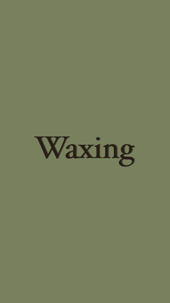 Bikini Wax