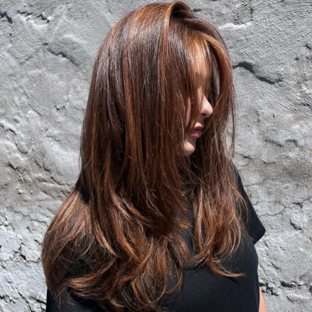 Root Refresh at Emily and Hair in Clovis, CA