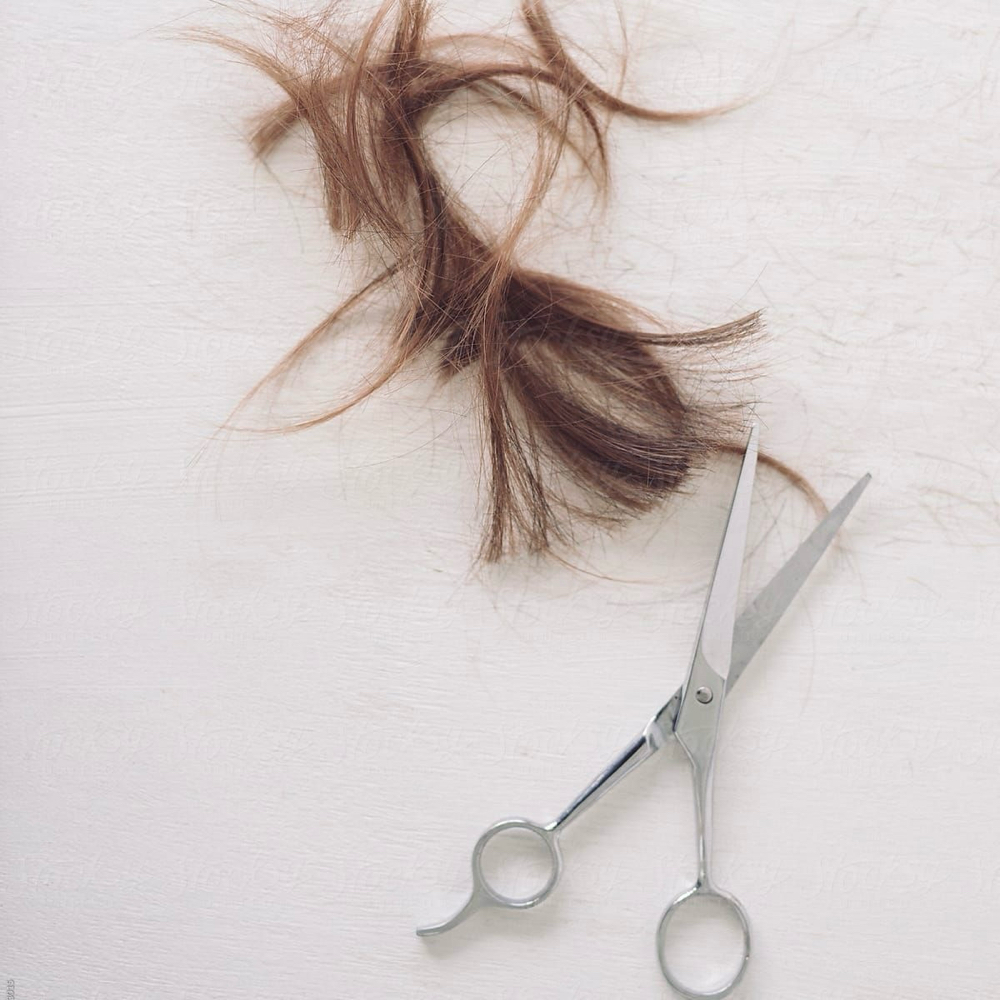Women's Haircut