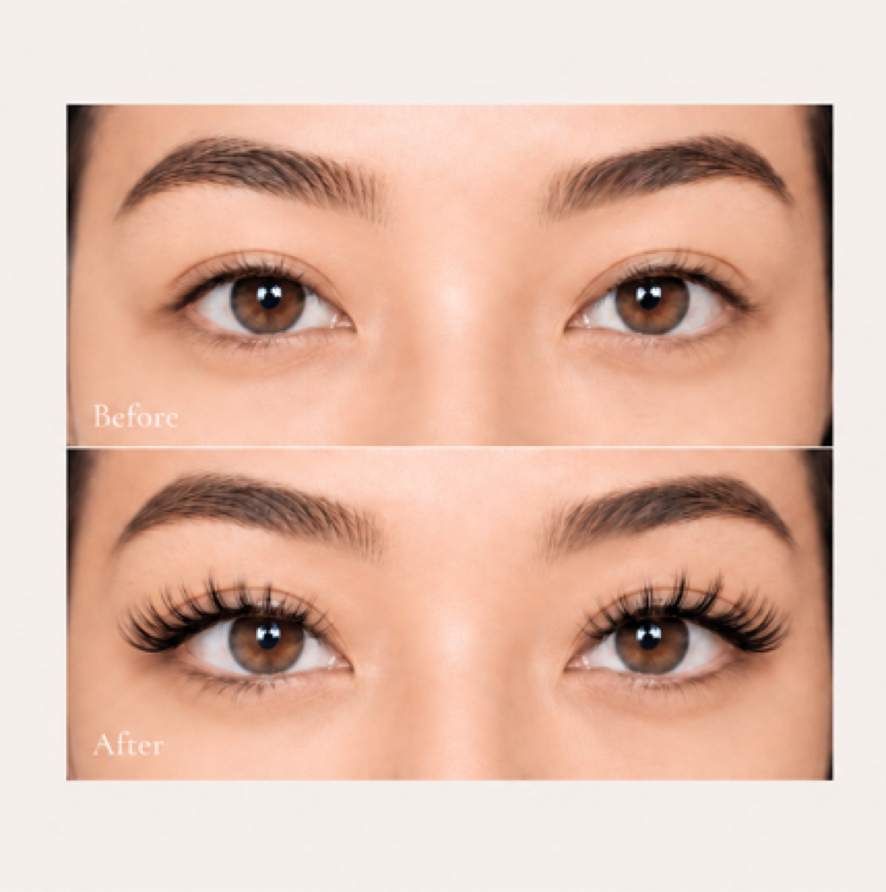 Flat Lash Extensions – Total 200 at Maison Beauty NYC in Newyork, NY