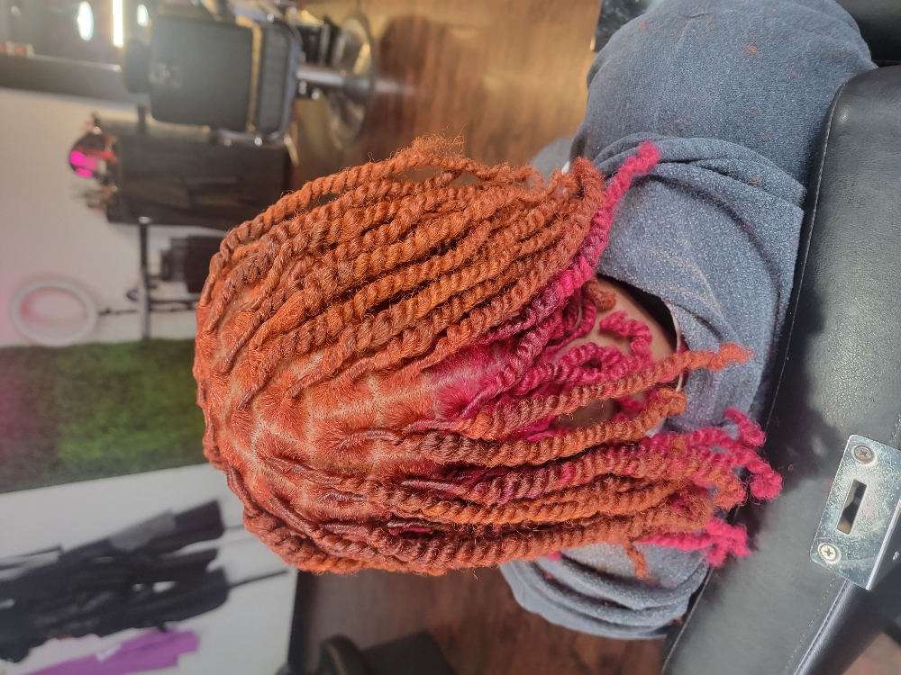 2 strand Starter Locs