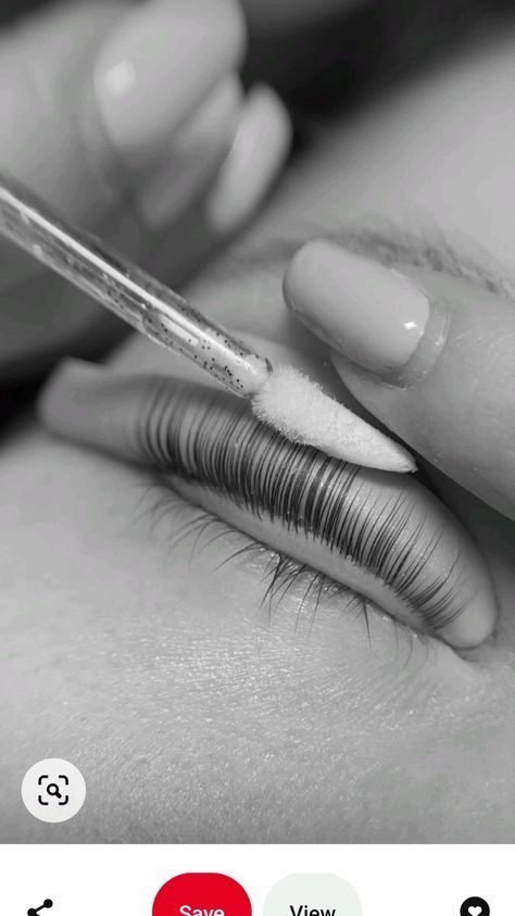 lash lift + tint