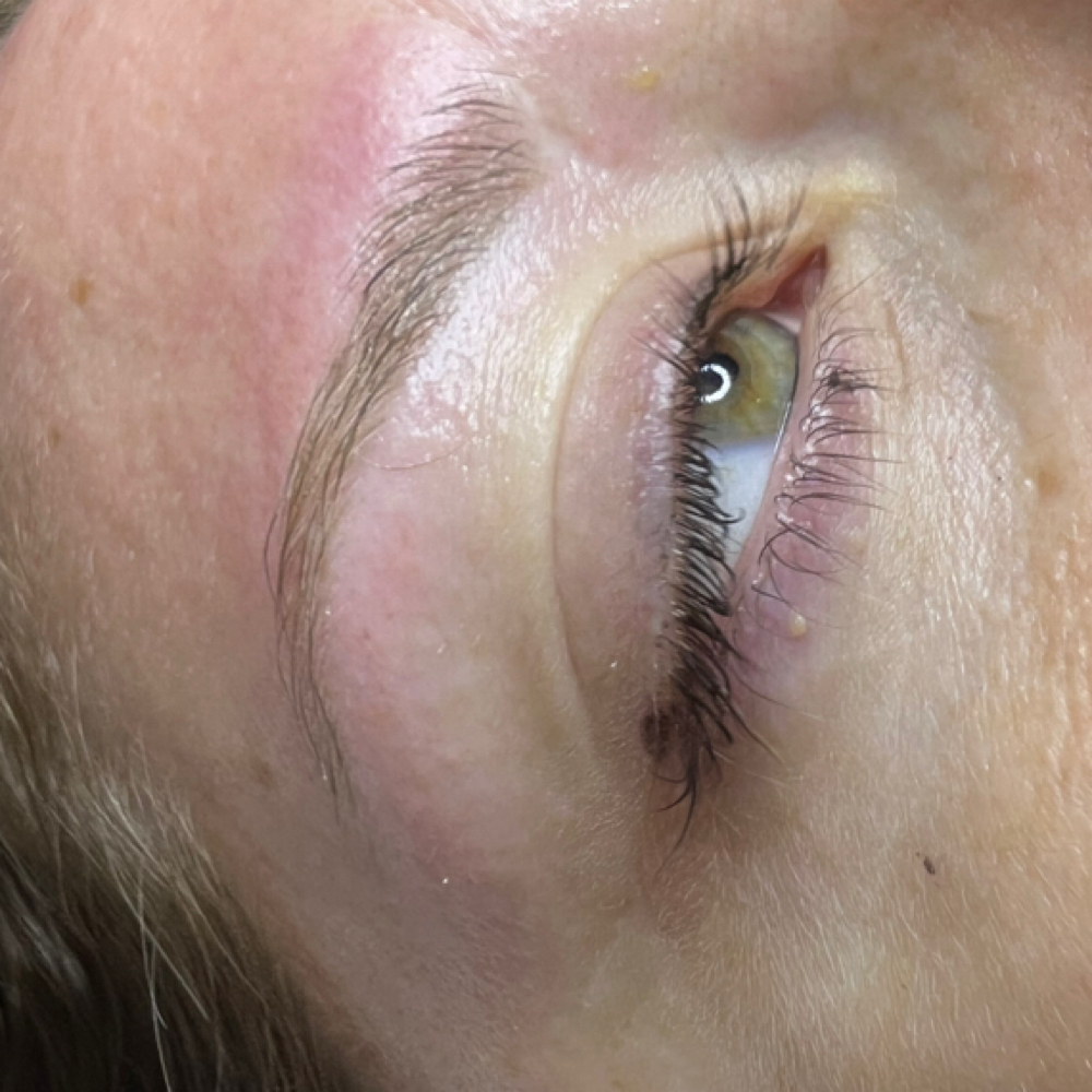 Waxing at THE LASH RESORT in Bay Springs, MS