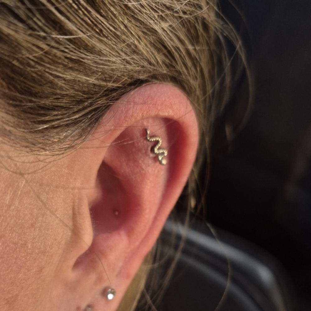 Flat/Scapha Piercing at Spellbound Piercing in Dillon, MT