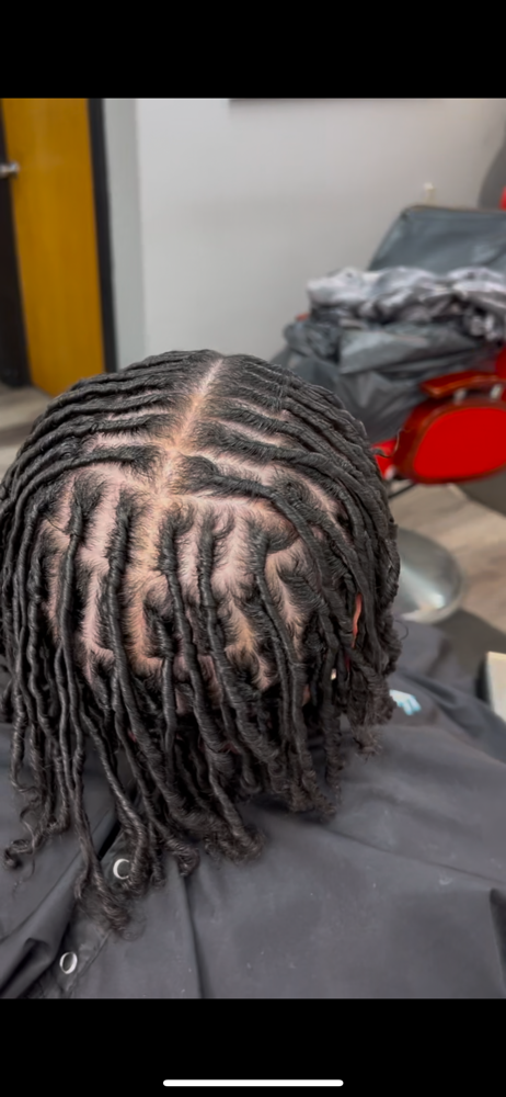 Starter Locs