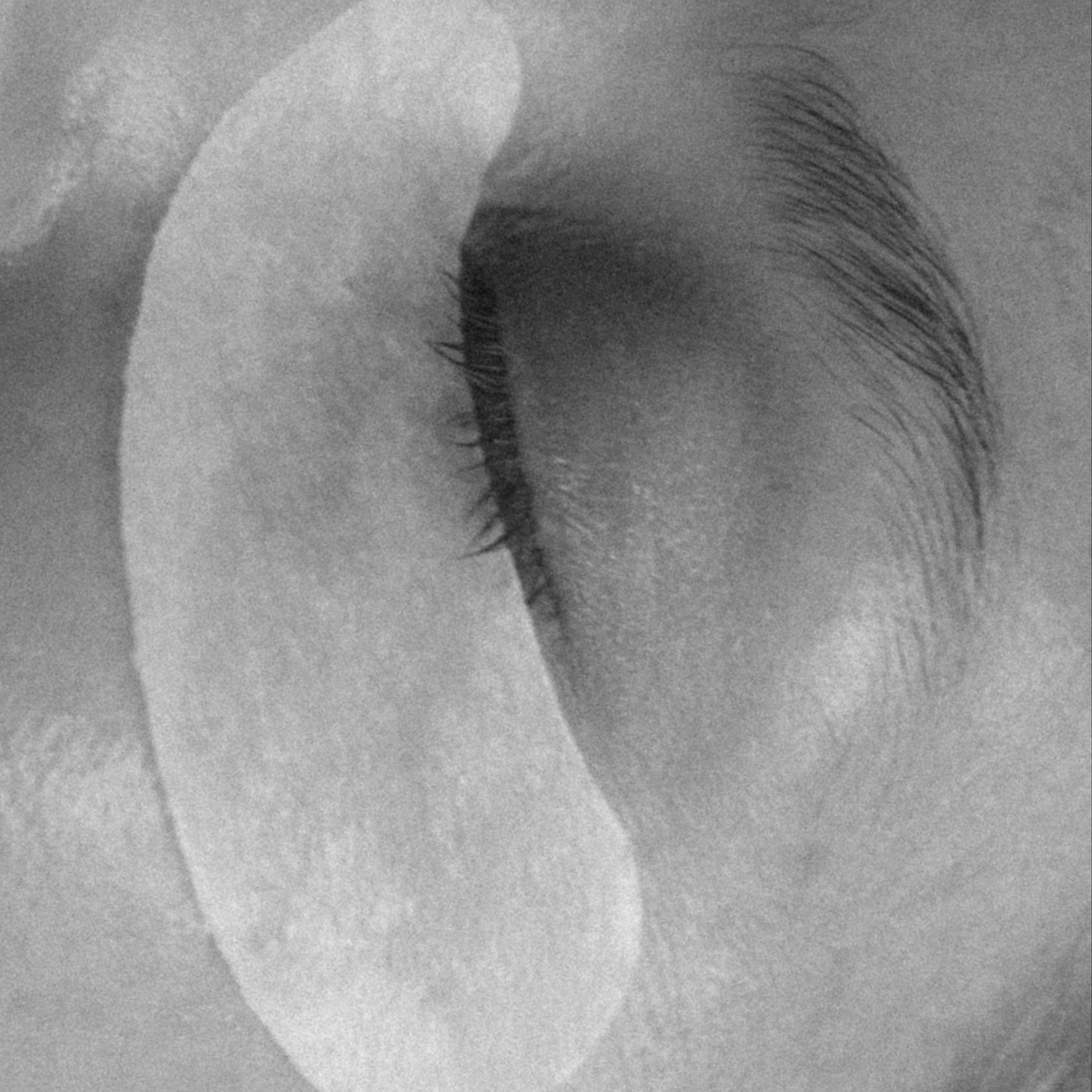 Lash Lift at Cedar & Coast Salon in Madison, WI