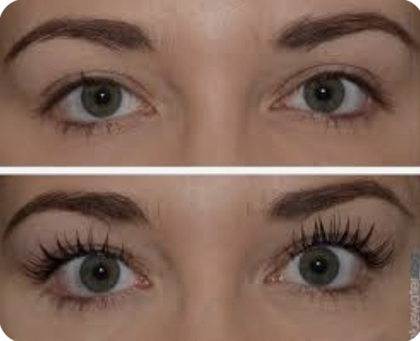 Lash Lift