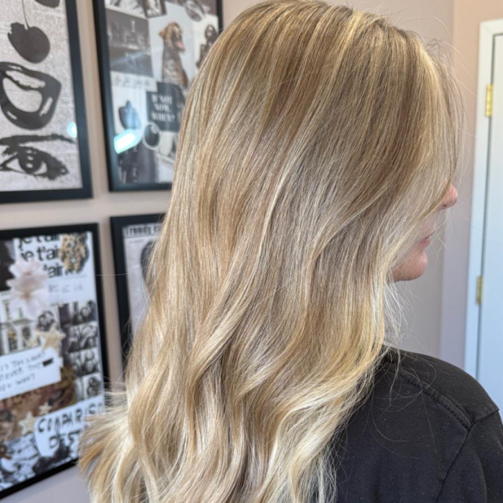Haircut w/ Toner & Style at Your Stylist, Kaleigh in Lansing, MI