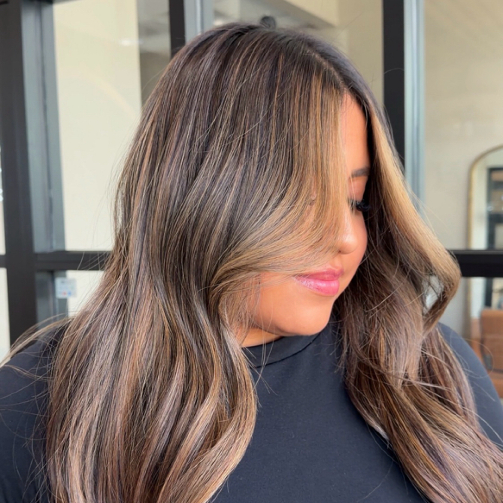 Full Custom Color at Hair by Raja in Gilbert, AZ