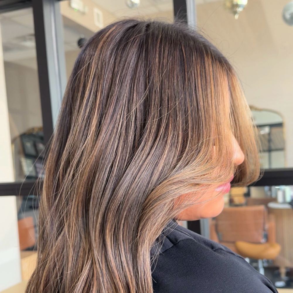 Full Custom Color at Hair by Raja in Gilbert, AZ