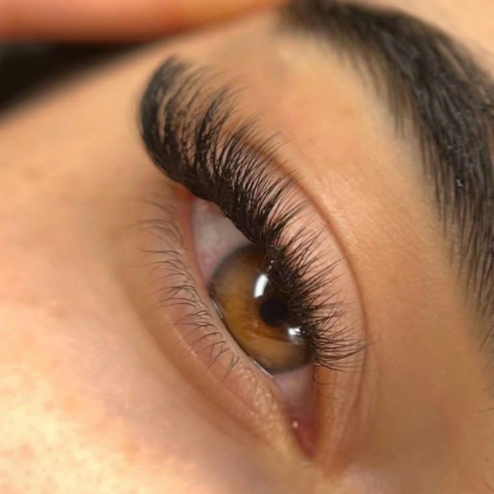 Wispy / Volume (clusters) at Lizbeth Lash Studio in Temple, TX