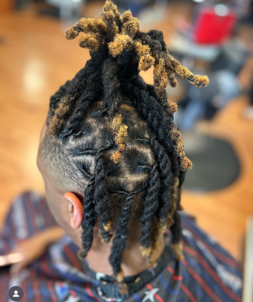 Color Your Locs (Tips Only)
