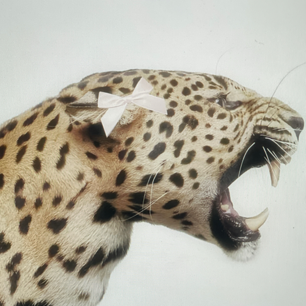 Color Retouch + Toner