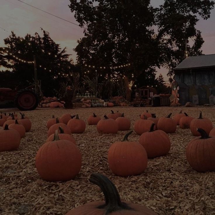 ADD ON PUMPKIN ENZYME