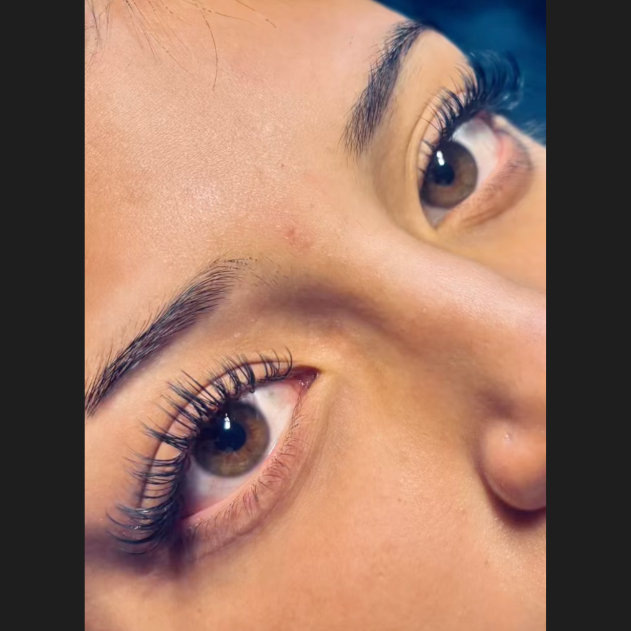 Lash Fill  ( 1 Hour) 50% Loss at Sol Esthetics & Lash Co in Fort Collins, CO