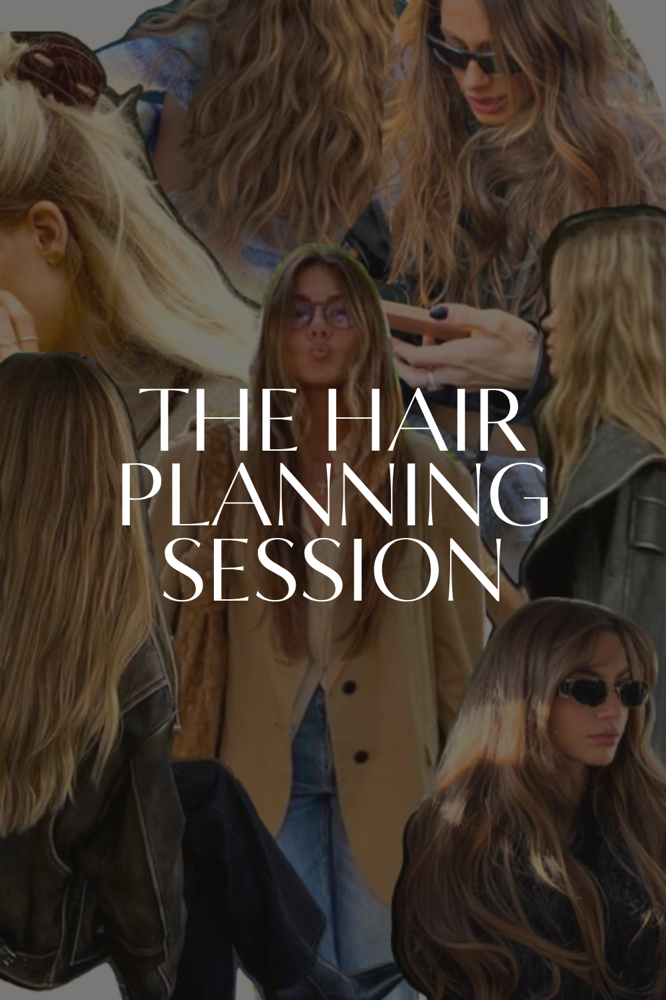 THE HAIR PLANNING SESSION