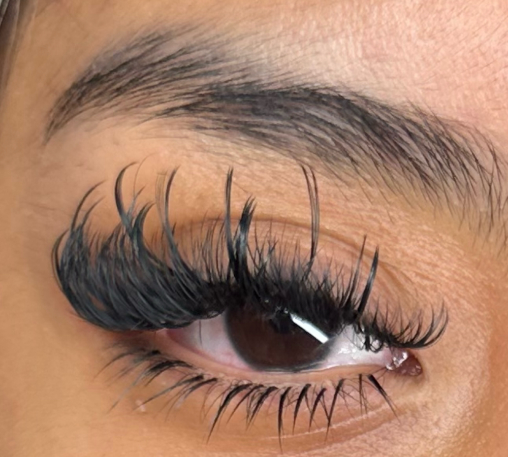 Bottom Lash