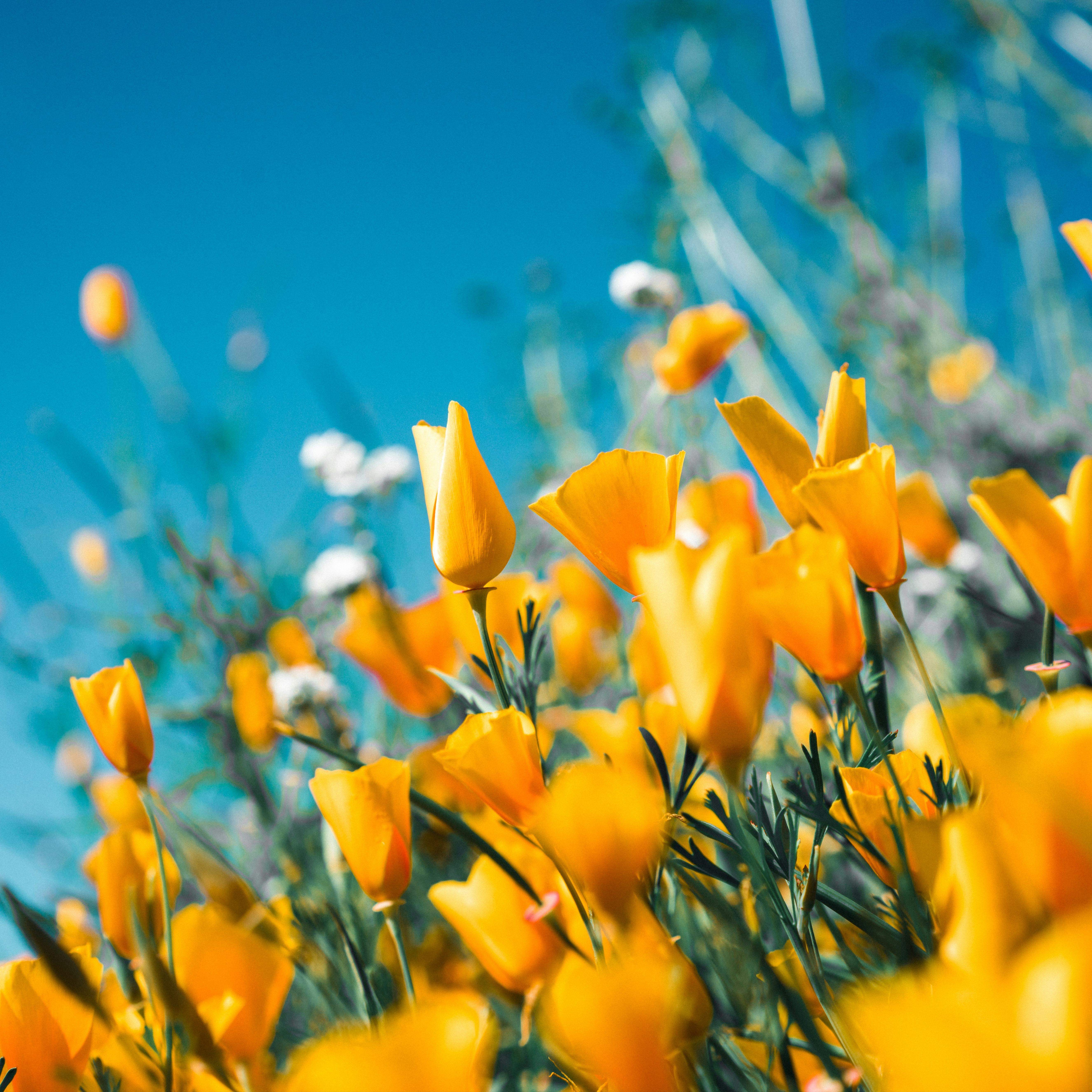 75 Minute Coastal Restore Upgrade at Blue Wellness Studio, LLC in Pacific City, OR