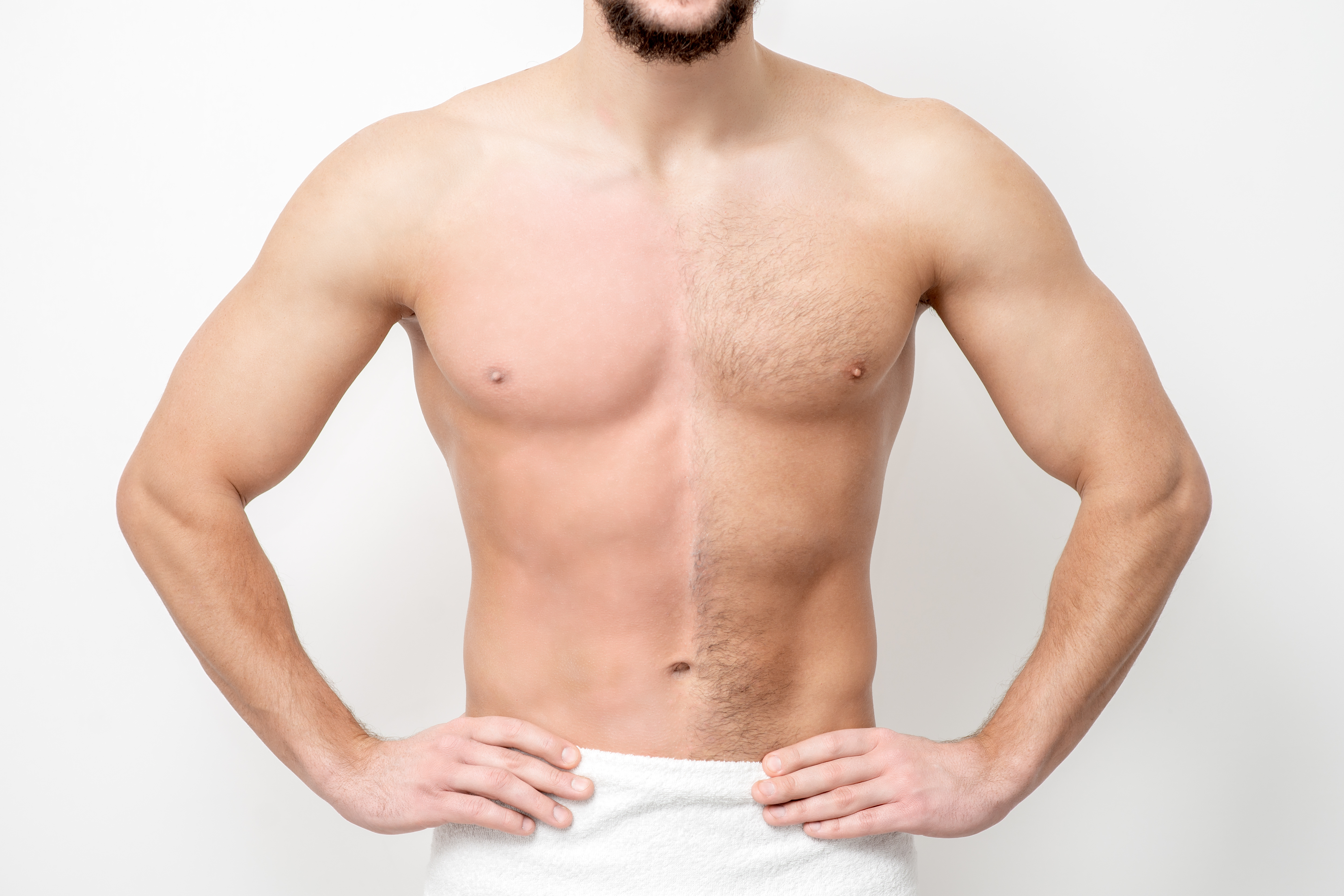Stomach