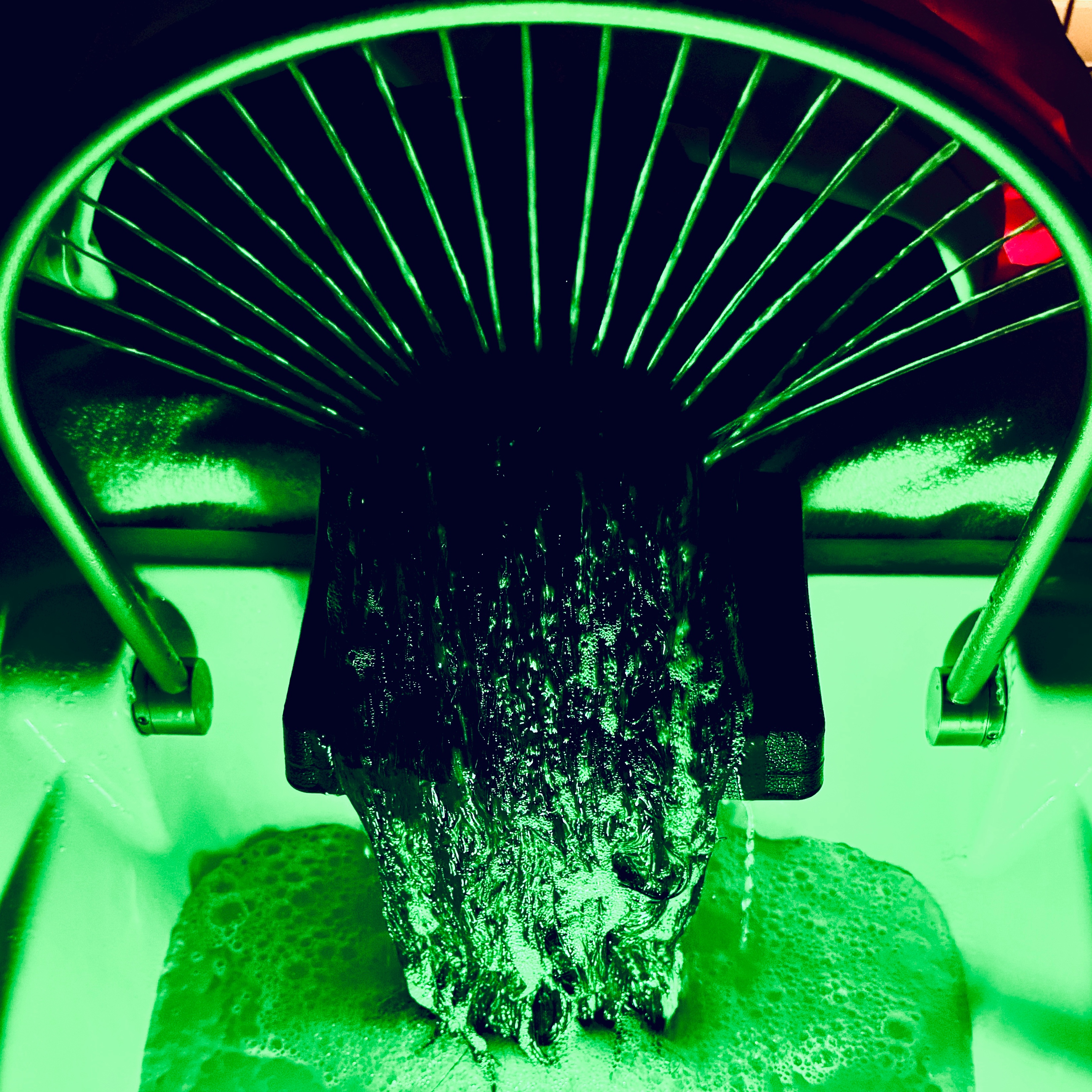 Return Client Scalp Facial