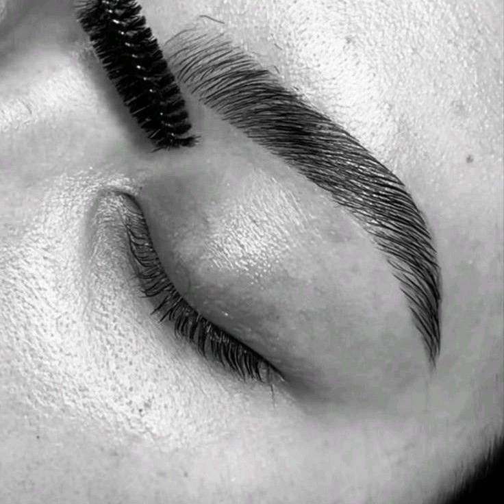 Eyebrow Tint at Clover House Salon in Canton, OH