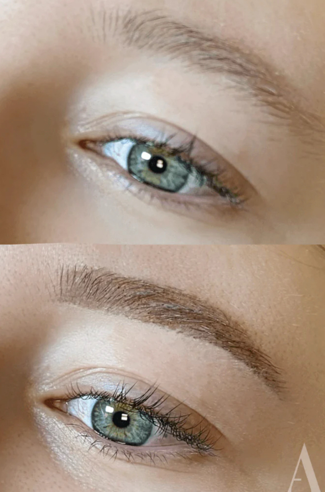 Brow Tint Only