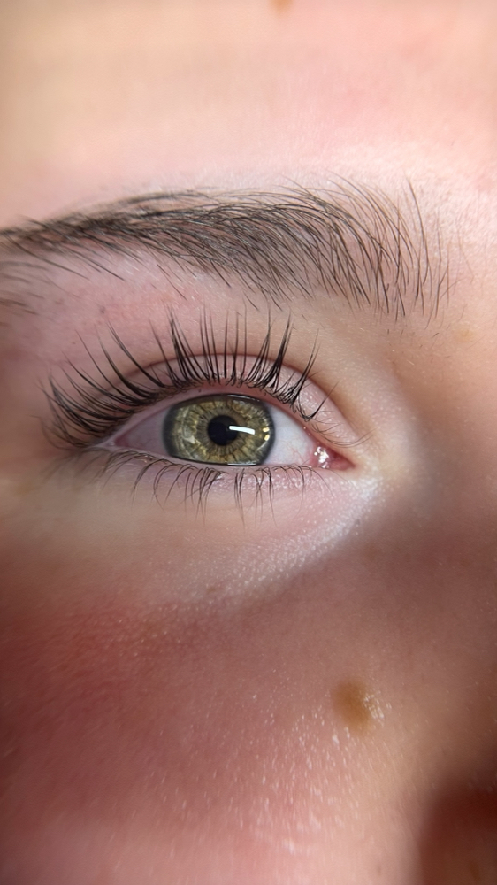 Lash Lift & Tint at The Beauty Barn LLC in Reynoldsville, WV