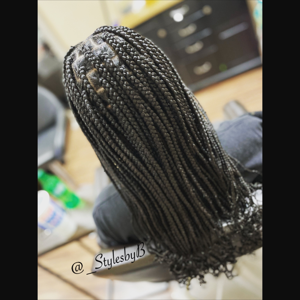 Princess Braids (Ages6-10)