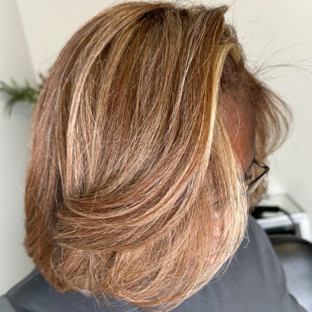Gloss & Tone + Blowout at The Blonde Boss in Houston, TX