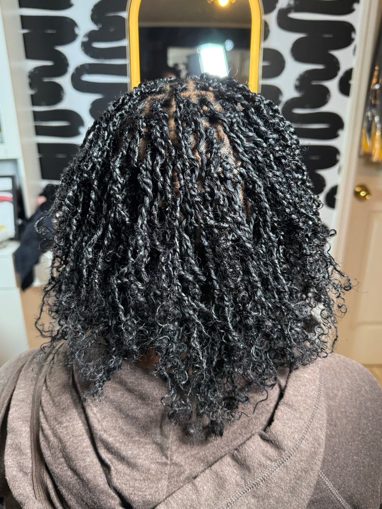 Mini Twists