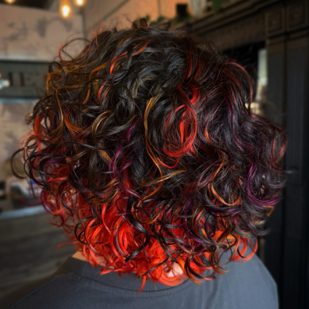 Standalone Curly Cut at Medusa Artistry in Beaumont, TX