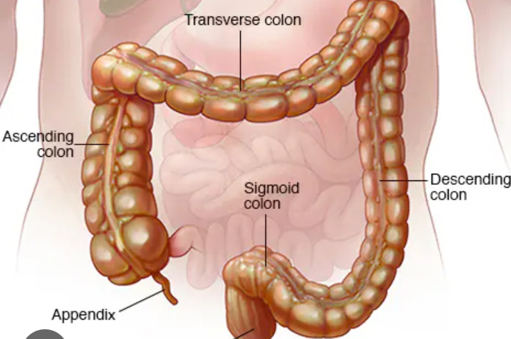 Colon Hydrotherapy