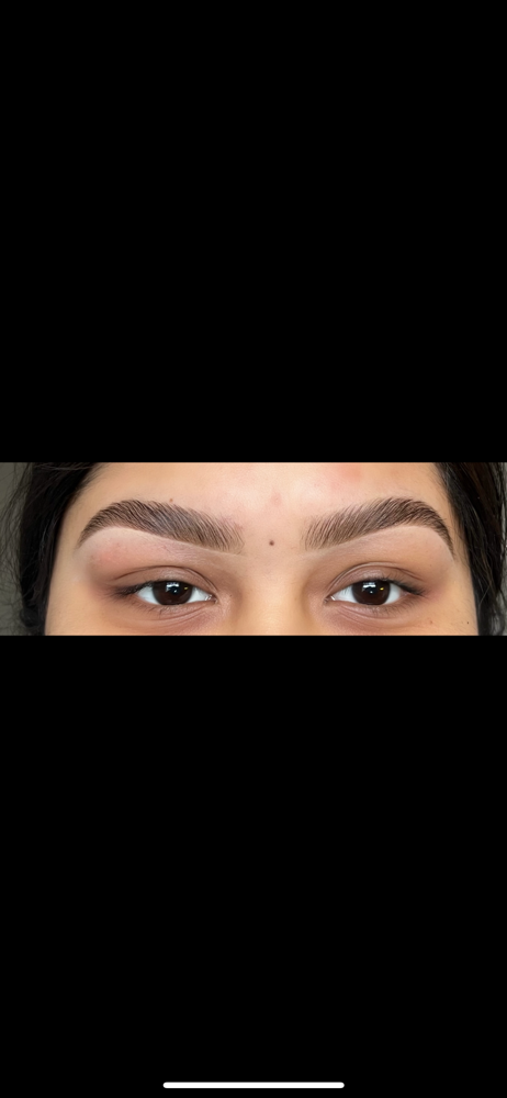 The Brow Makeover Bundle