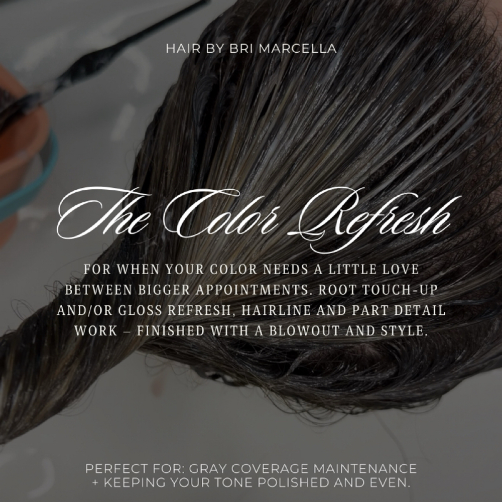 Color Refresh Session at Hair by Bri Marcella @ The Main Attraction in Williamsville, NY